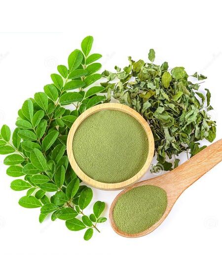 ⁦شجرة المورينجا للزراعة المنزلية وتسمى الشجرة المعجزة 2⁩ - الصورة ⁦3⁩