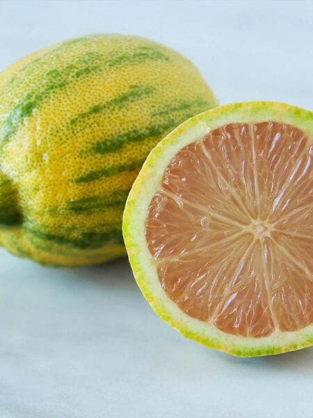 ⁦Pink Variegated Eureka Lemon Tree شجرة ليمون وردي مبرقشة⁩ - الصورة ⁦8⁩