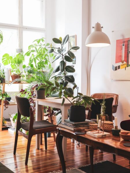 green potted plant on brown wooden table