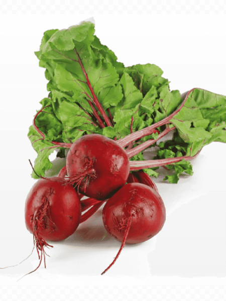 ⁦بذور نبات البنجر 30 جرام للزراعة المنزلية والحدائق والحقول Red Beets⁩ - الصورة ⁦5⁩