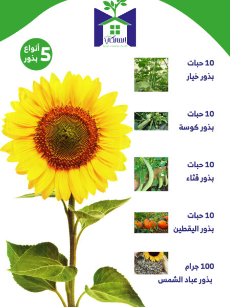 بذور نبات عباد الشمس مع بذور الكوسة واليقطين وبذور الخيار