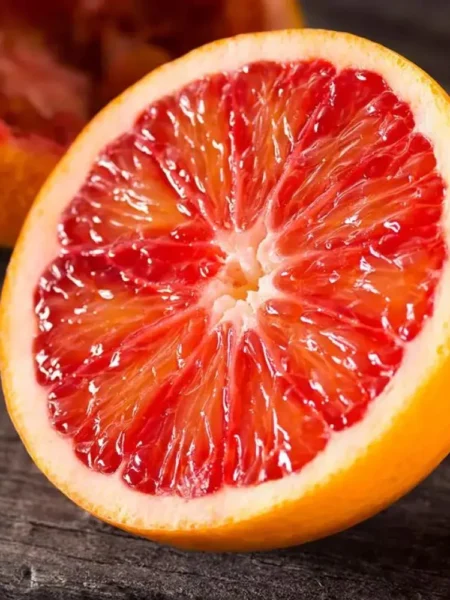 ⁦شجرة برتقال ابو دمه عليها الثمار للزراعة في البلكونات والحدائق وعلى أسطح المنازل⁩ - الصورة ⁦2⁩